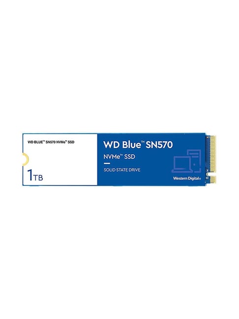 WD WDS100T3B0C 1TB M.2 PCIe NVMe SSD (Blue)