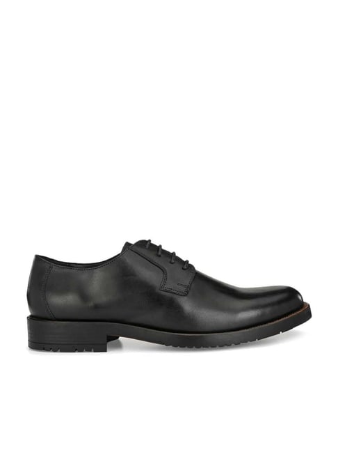 Carlo Romano Men's Black Derby Shoes-picture-39