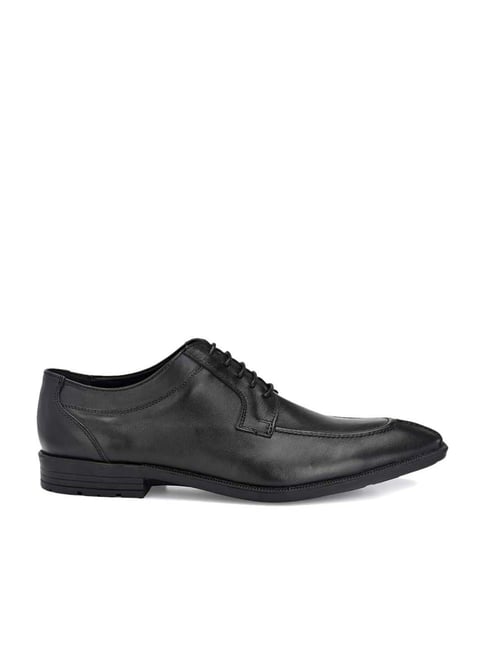 Carlo Romano Men's Black Derby Shoes-picture-42