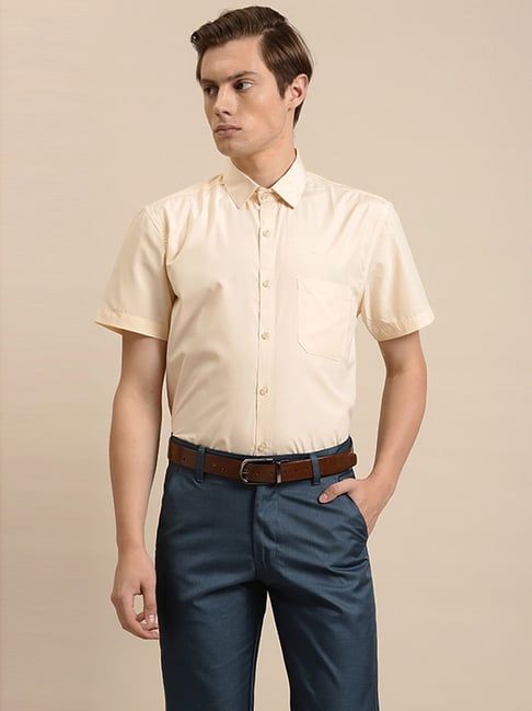 Sojanya Beige Cotton Regular Fit Shirt-picture-10