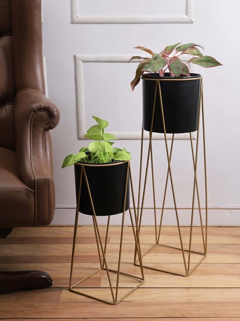 Aapno Rajasthan Black & Golden Metal Planter Pot with Stand-picture-30