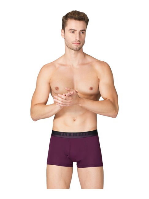 Van Heusen Innerwear Black Cotton Regular Fit Striped Briefs