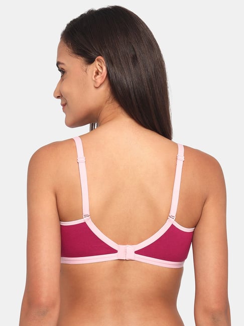 Buy online Pink Lace Tshirt Bra from lingerie for Women by Zivame for ₹499  at 50% off
