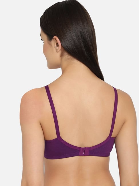 Buy Clovia Women Purple Solid Cotton Single Non Padded Wirefree Full  Coverage Bra Online at Best Prices in India - JioMart.