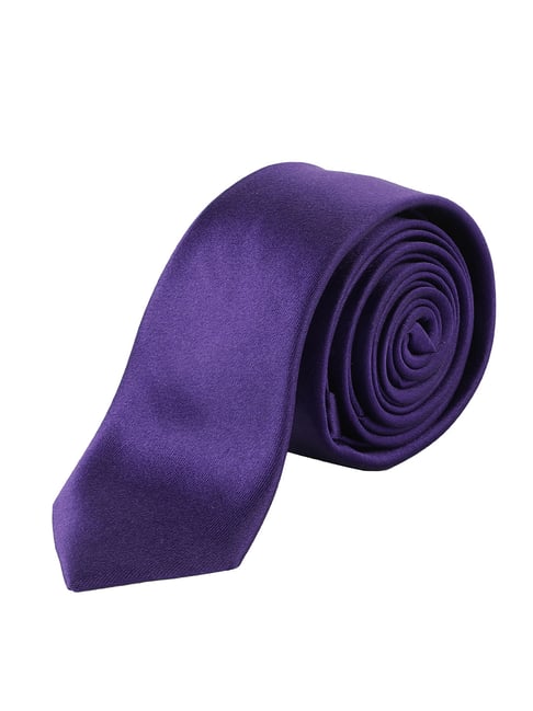 Alvaro Castagnino Solid Dark Purple Necktie
