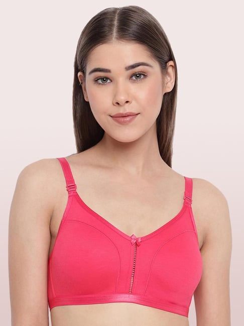 Buy Enamor Fuchsia Lace Non Wired Padded Push Up Bra for Women Online @  Tata CLiQ