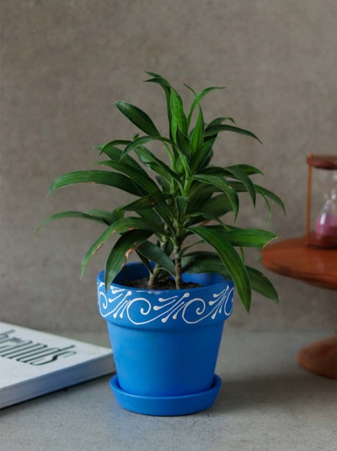 Unravel India 'Swirl Motif' Blue Terracotta Planter Pot with Plate - Set of 1