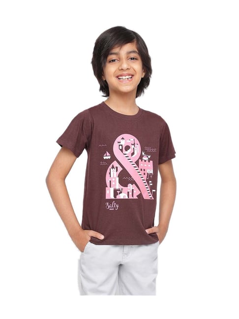 Tales & Stories Boys Brown & Pink Cotton Printed T-shirts-picture-43
