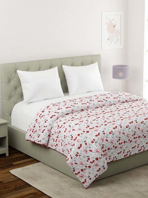 Klotthe Mild Winter White & Red Cotton 210 GSM Single-Sized Dohar