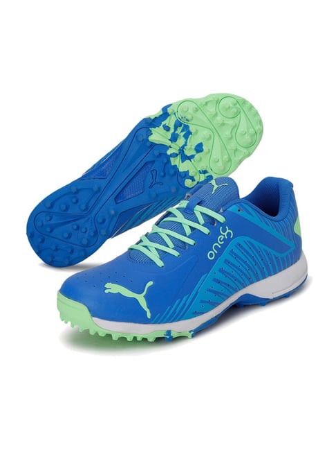 Buy Puma Men's Blue Cricket Shoes for Men at Best Price Tata CLiQ