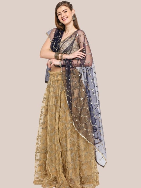 Dupatta Bazaar Navy Embellished Dupatta