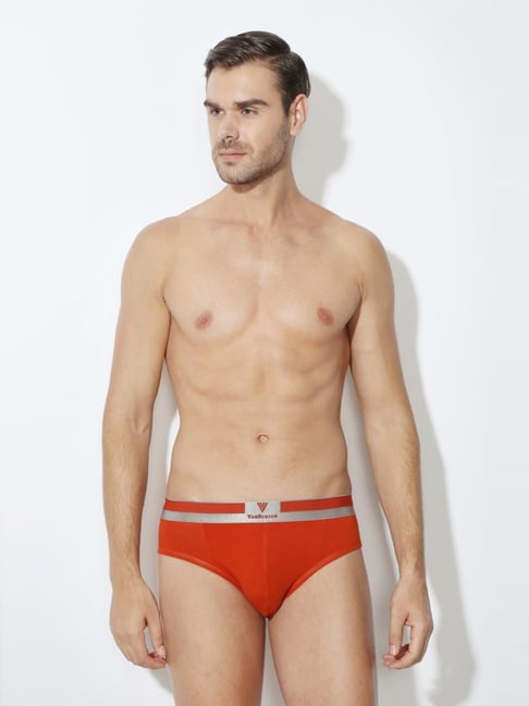 van heusen Vh Innerwear Red Cotton Regular Fit Briefs-picture-27