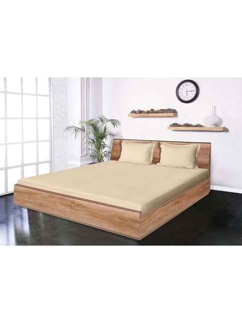 Mark Home Classic Beige Cotton 210 TC King Bedsheet with 2 Pillow Covers
