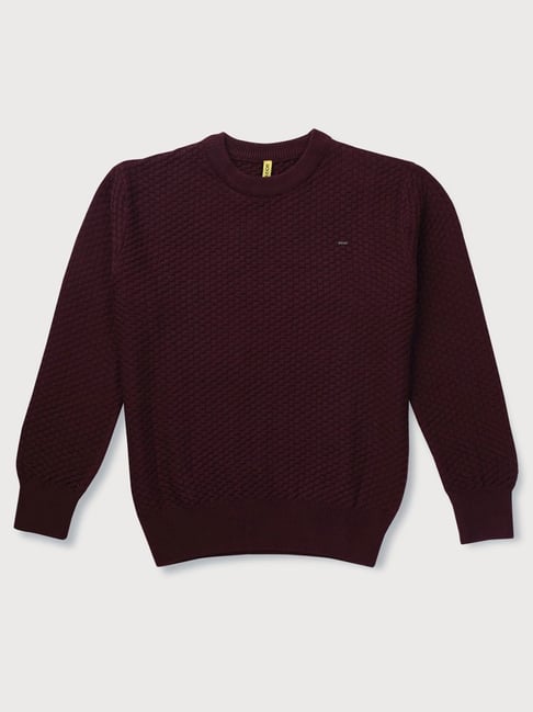 Buy Gini Jony Kids Maroon Cotton Textured Pattern Sweater for