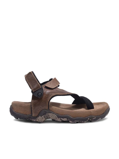 Buy Woodland Men's Camel Toe Ring Sandals for Men at Best Price @ Tata CLiQ