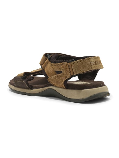 Buy Woodland Pro Planet Men Olive Green Leather Comfort Sandals - Sandals  for Men 6799202 | Myntra