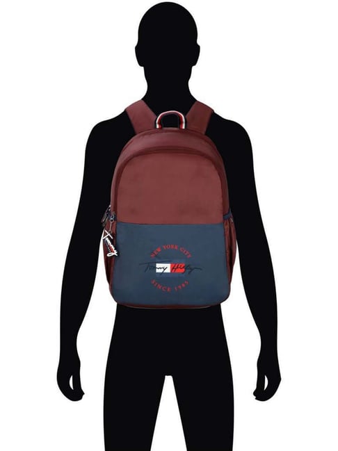 Buy Tommy Hilfiger 22 Ltrs Navy & Maroon Large Laptop Backpack Online