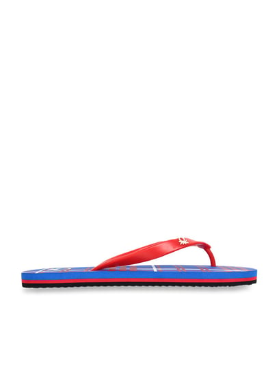 Buy United Colors of Benetton Men s Royal Blue Red Flip Flops