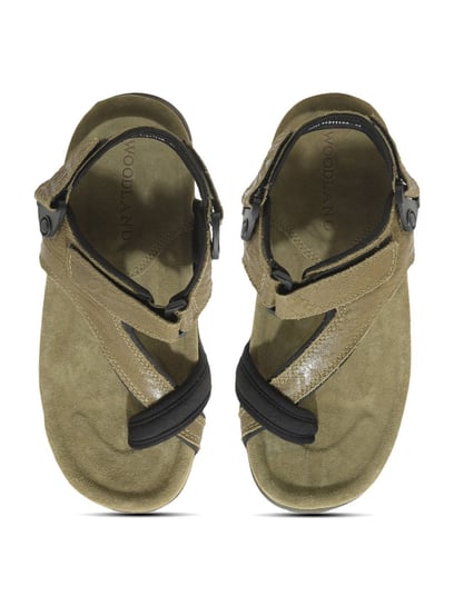 Buy Woodland Men Olive Green Leather Sandals - Sandals for Men 947145 |  Myntra