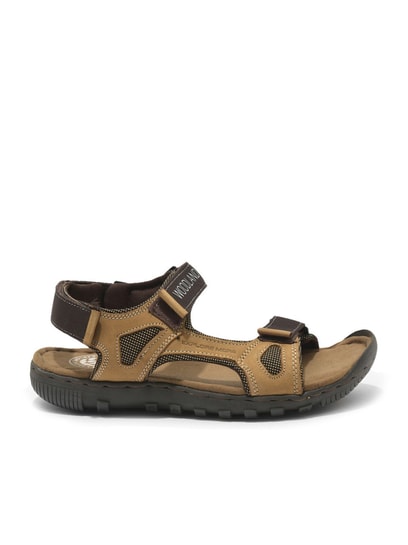 WOODLAND CAMEL BASIC SANDAL in Nellore at best price by Woodland Store -  Justdial