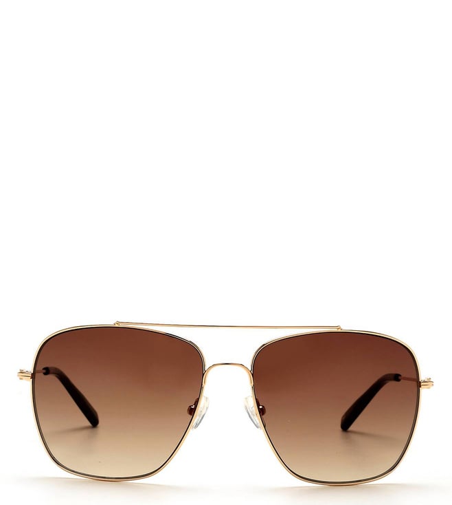 Petrol ladies Sunglass (Brown) at best price in Mumbai by Petrol | ID:  7015315430