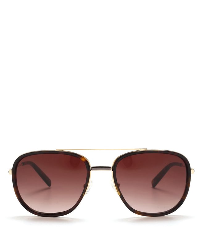 tommy brown sunglasses