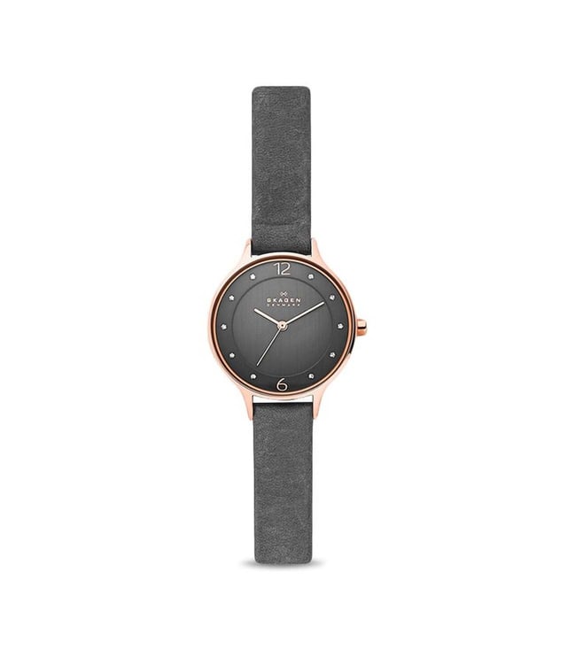 Skagen watch clearance grey