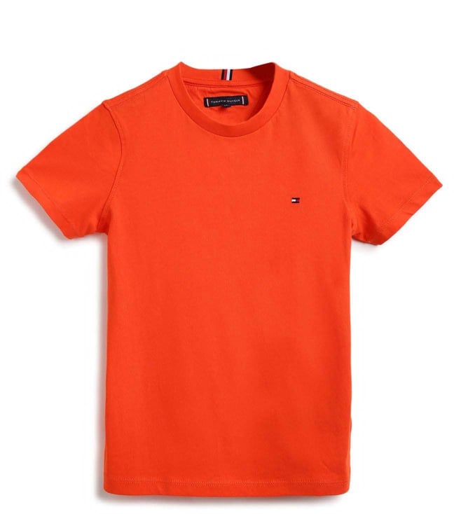 Vis stedet Mountaineer Orphan Tommy Hilfiger t shirts - Buy Tommy Hilfiger t shirts online in India