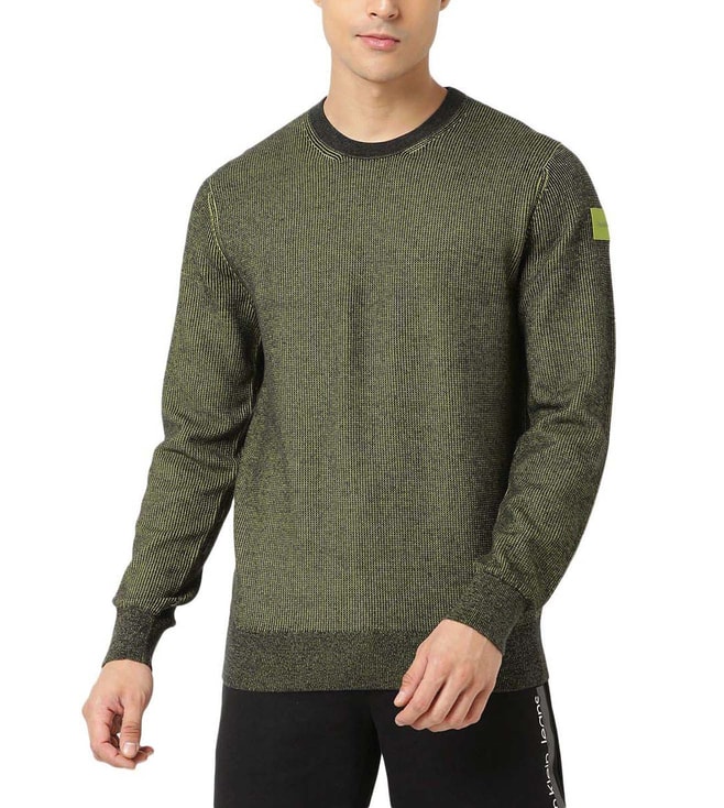 Buy Calvin Klein Jeans Reptile Green Regular Fit Sweater for Men Online @  Tata CLiQ Luxury