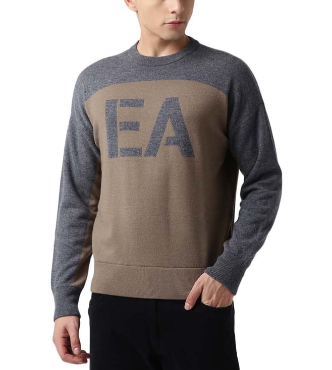 Buy Emporio Armani Noce & Grey Regular Fit Logo Sweater for Men Online @  Tata CLiQ Luxury