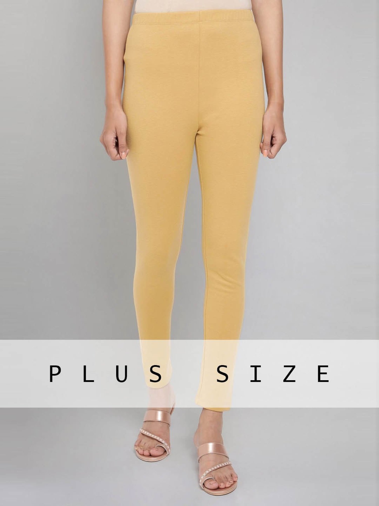 Buy Aurelia Beige Regular Fit Leggings for Women Online @ Tata CLiQ