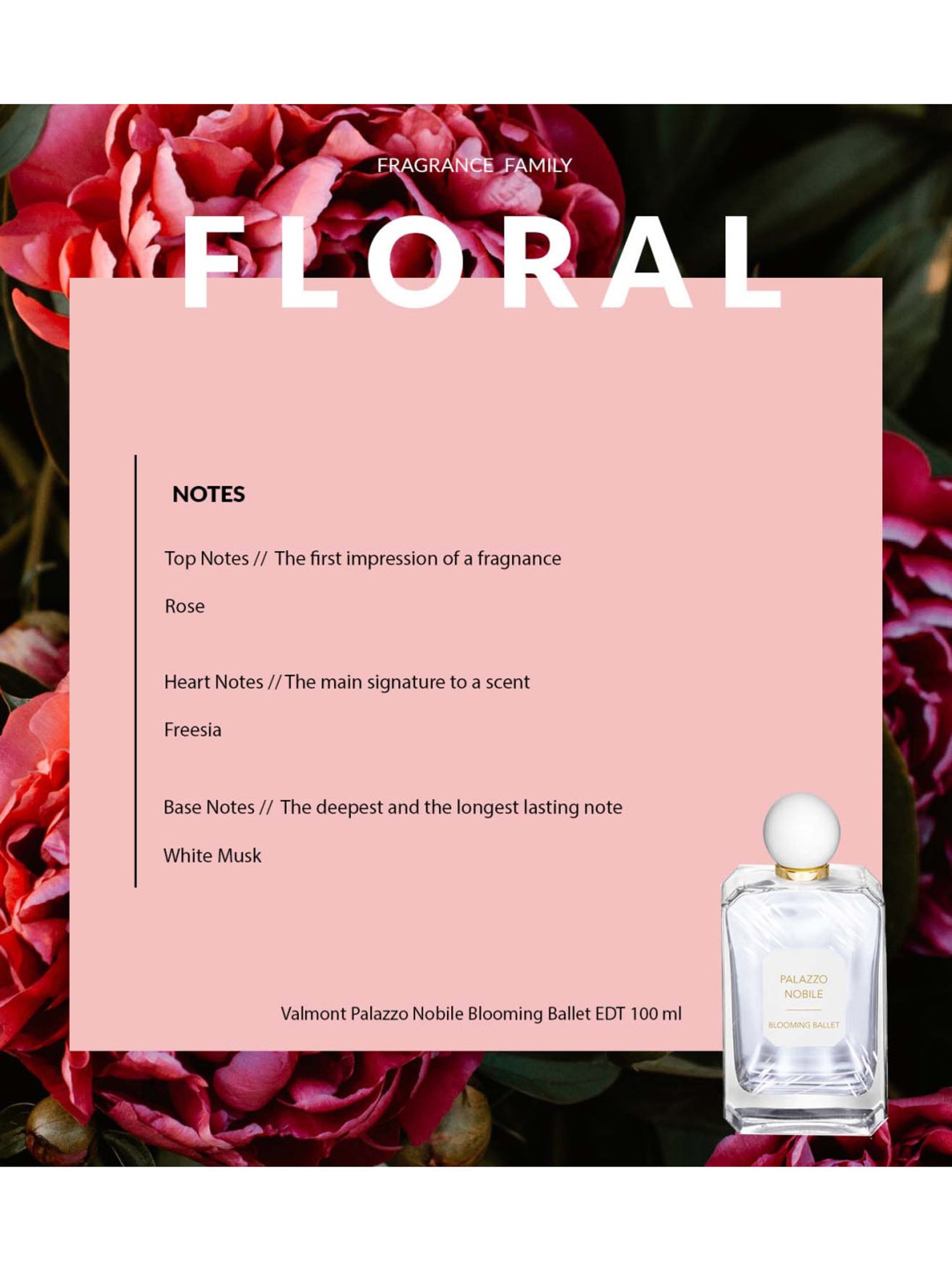 Buy Valmont Palazzo Nobile Blooming Ballet EDT 100 ml Online