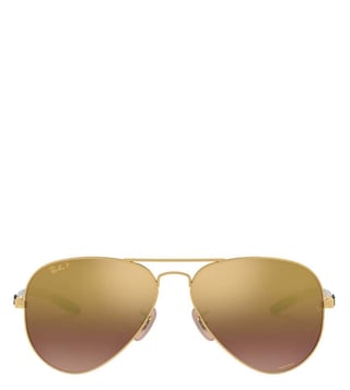 Buy Ray-Ban Purple 0RB8317CH Aviator Unisex Sunglasses Online @ Tata CLiQ  Luxury