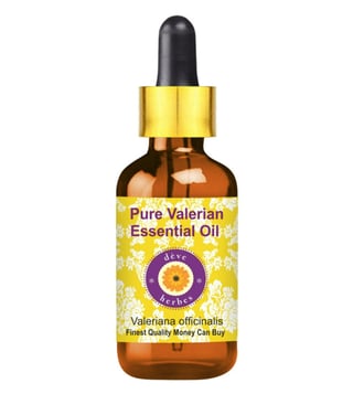 Valerian Essential 2024 Oil