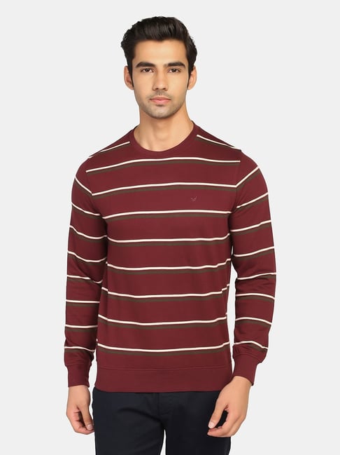 Mens on sale striped sweatshirt