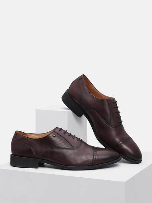 Blackberrys Men's Brown Oxford Shoes