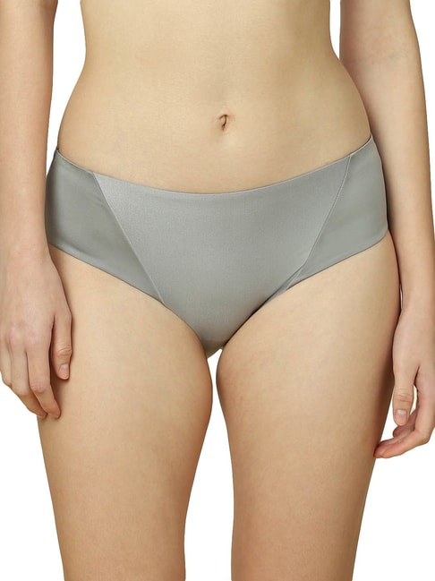 Triumph Grey Hipster Panty Price in India
