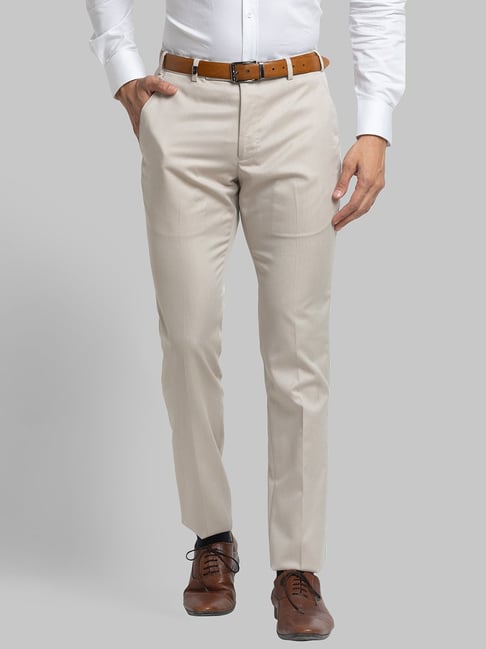 Buy Park Avenue Men Textured Slim Fit Formal Trouser  Beige Online at Low  Prices in India  Paytmmallcom