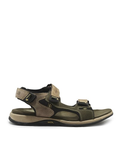 Woodland Casual Sandals GD 0646109W13 (42, Olive Green) price in UAE |  Amazon UAE | kanbkam