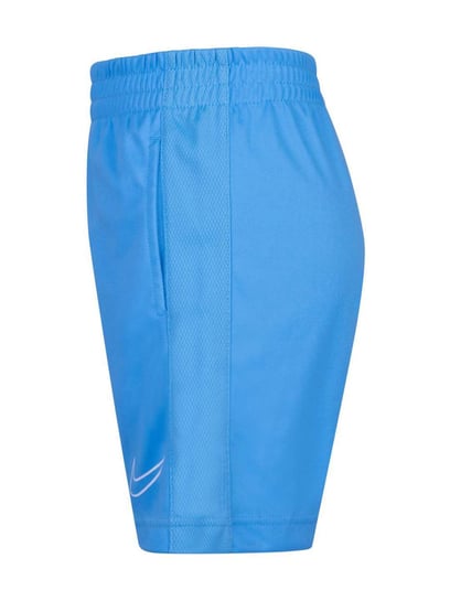 Nike challenger best sale shorts blue